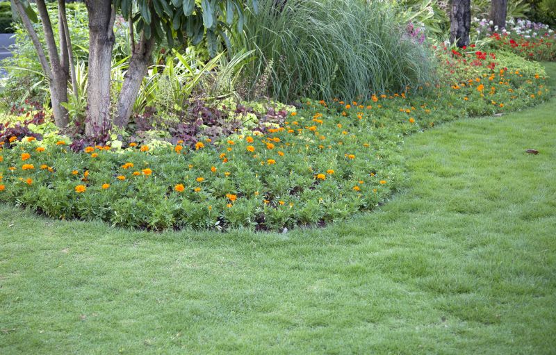 Improves the health and longevity of your plants