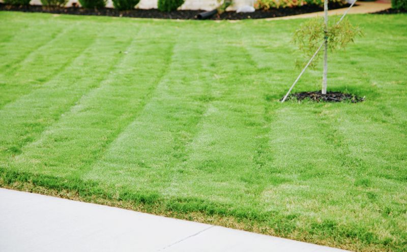 Lawn Border Installation detail