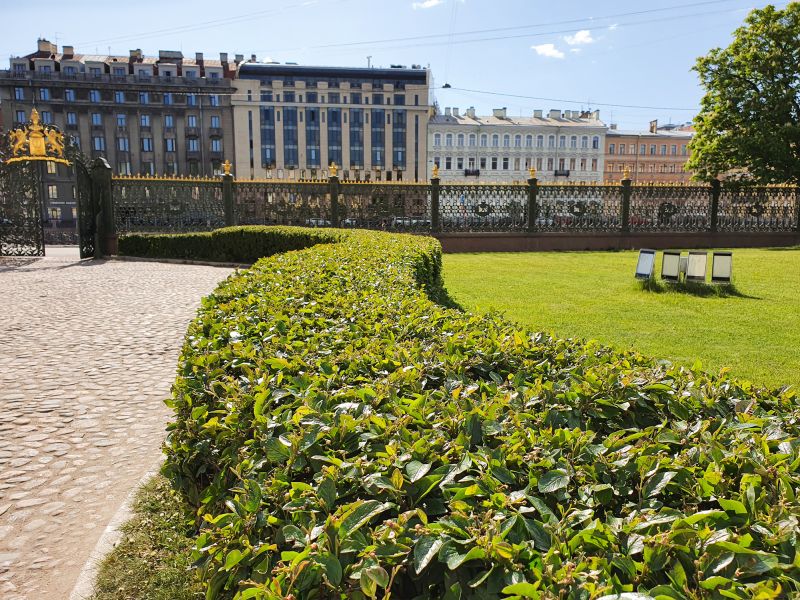 Shrub Replacement detail