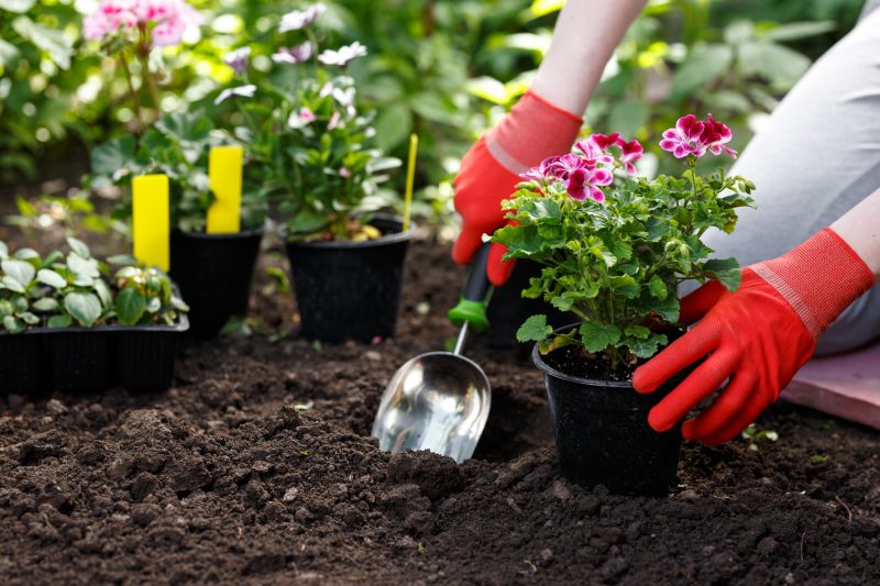 Saves time on maintenance with professional care