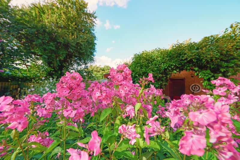 Creates a functional and beautiful outdoor space